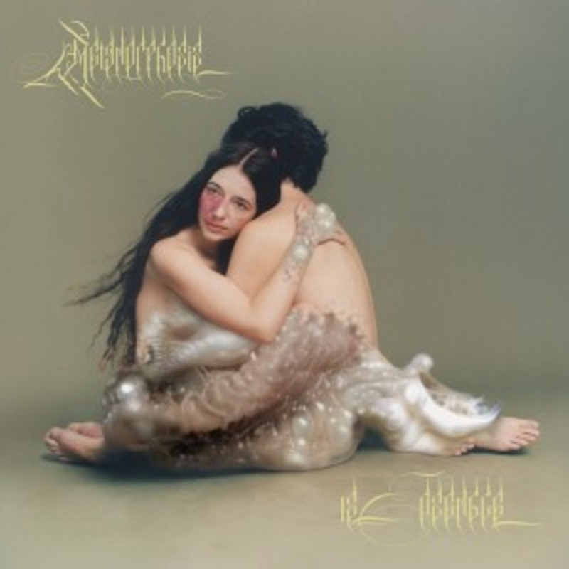 12 Ensemble – Metamorphosis