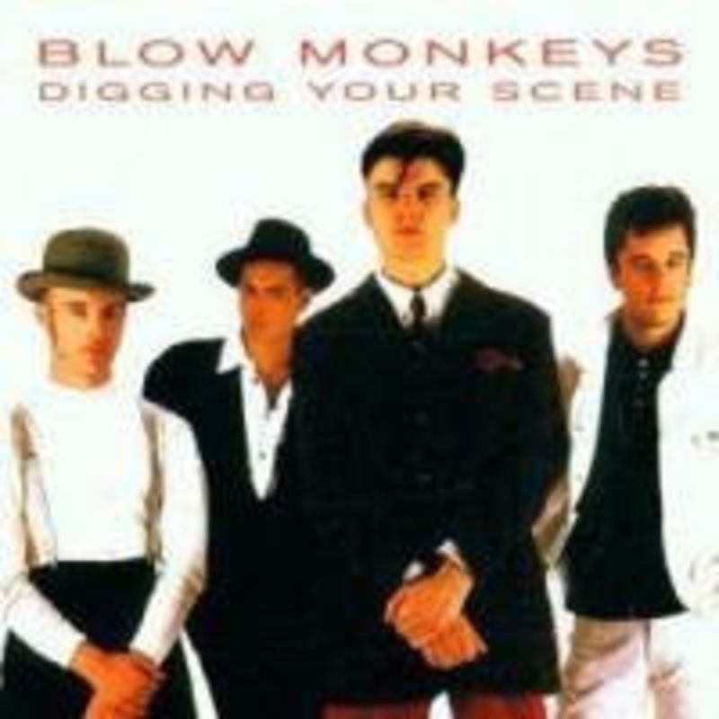 Blow Monkeys* – Digging Your Scene (CD, Comp) (Very Good Plus (VG+))