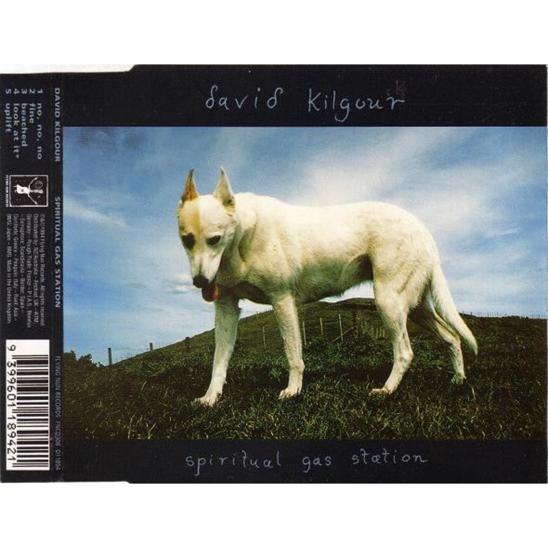 David Kilgour – Spiritual Gas Station (CD, EP) (Very Good Plus (VG+))