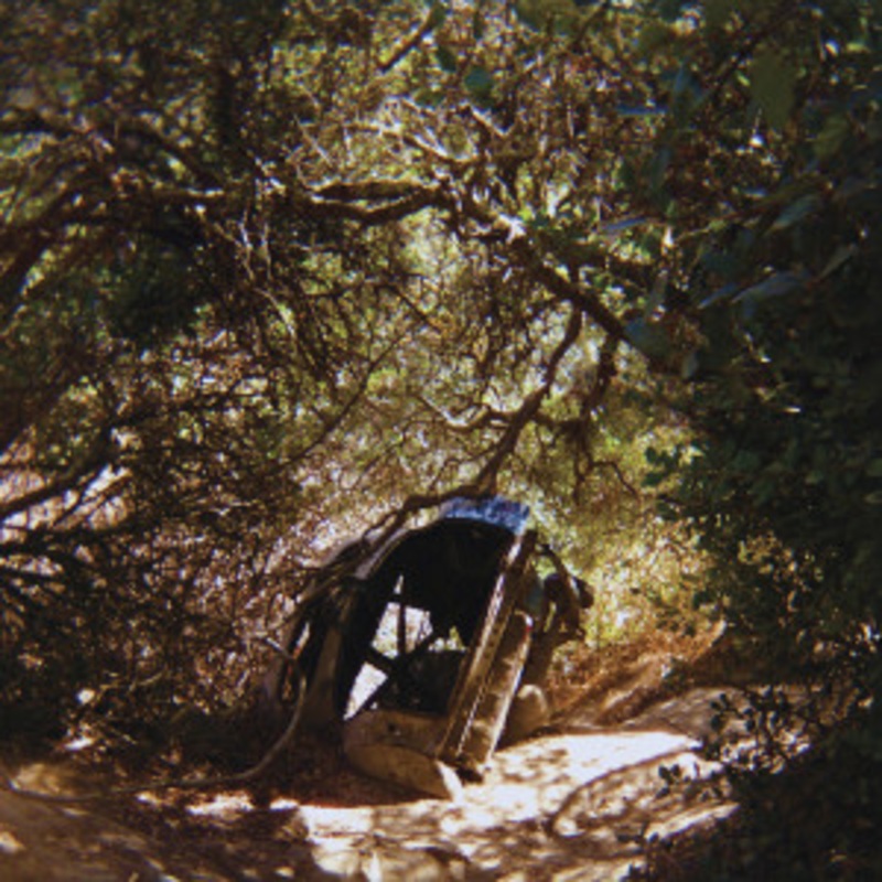 Ty Segall – Possession