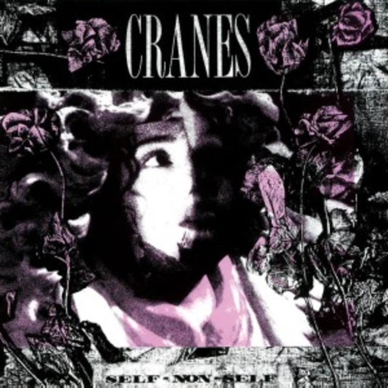 Cranes – Self-Non-Self (Black/White Vinyl)