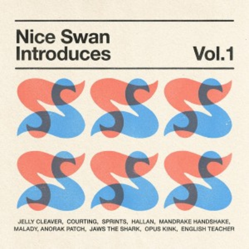 Various – Nice Swan Introduces Vol. 1