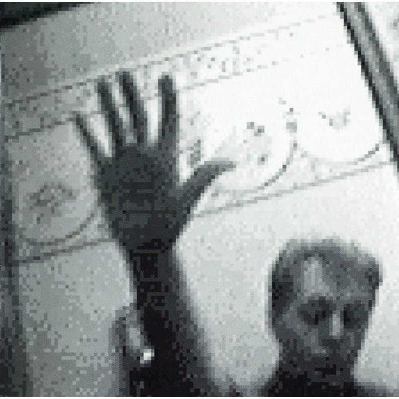 Paul McCartney – Driving Rain (CD, Album) (Very Good Plus (VG+))