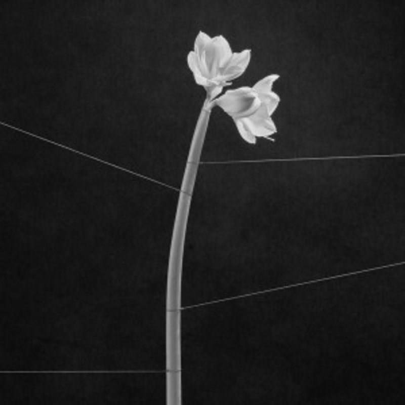 Trentemoller – Dreamweaver (Clear Vinyl)