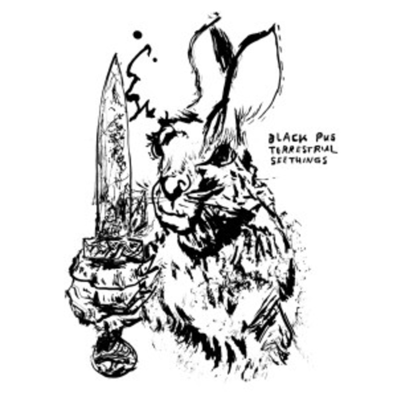 Black Pus – Terrestrial Seethings