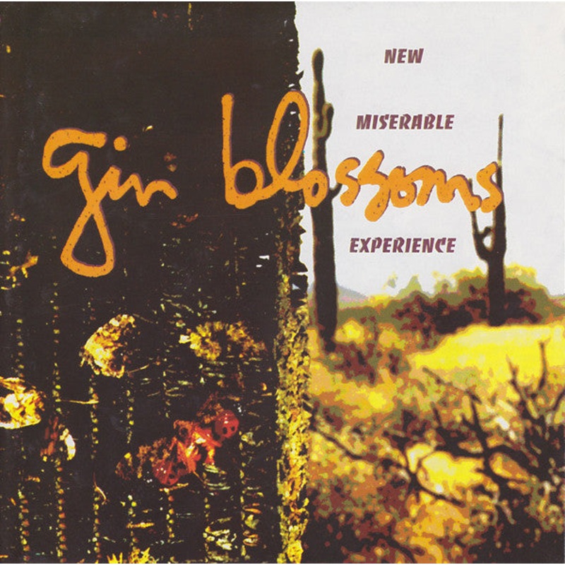 Gin Blossoms – New Miserable Experience (CD, Album) (Very Good (VG))
