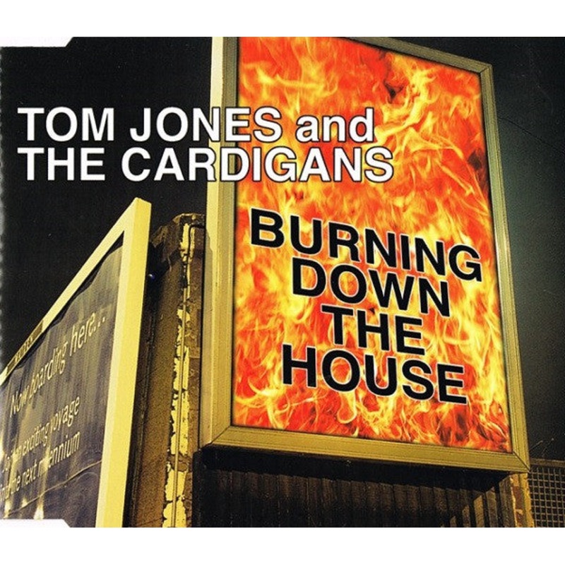Tom Jones And The Cardigans – Burning Down The House (CD, Single) (Very Good Plus (VG+))