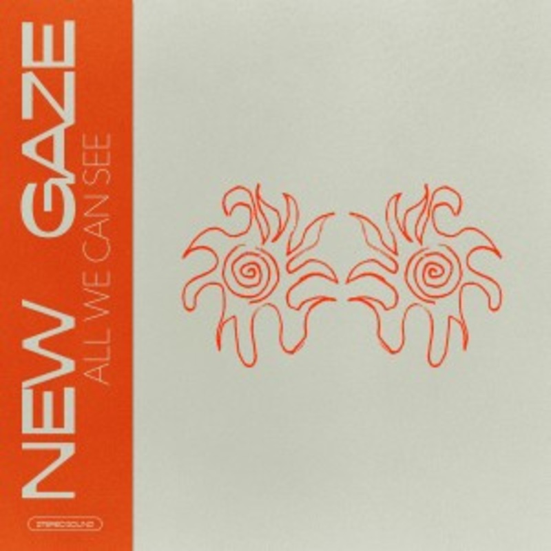 New Gaze – All We Can See / Dystopian Days