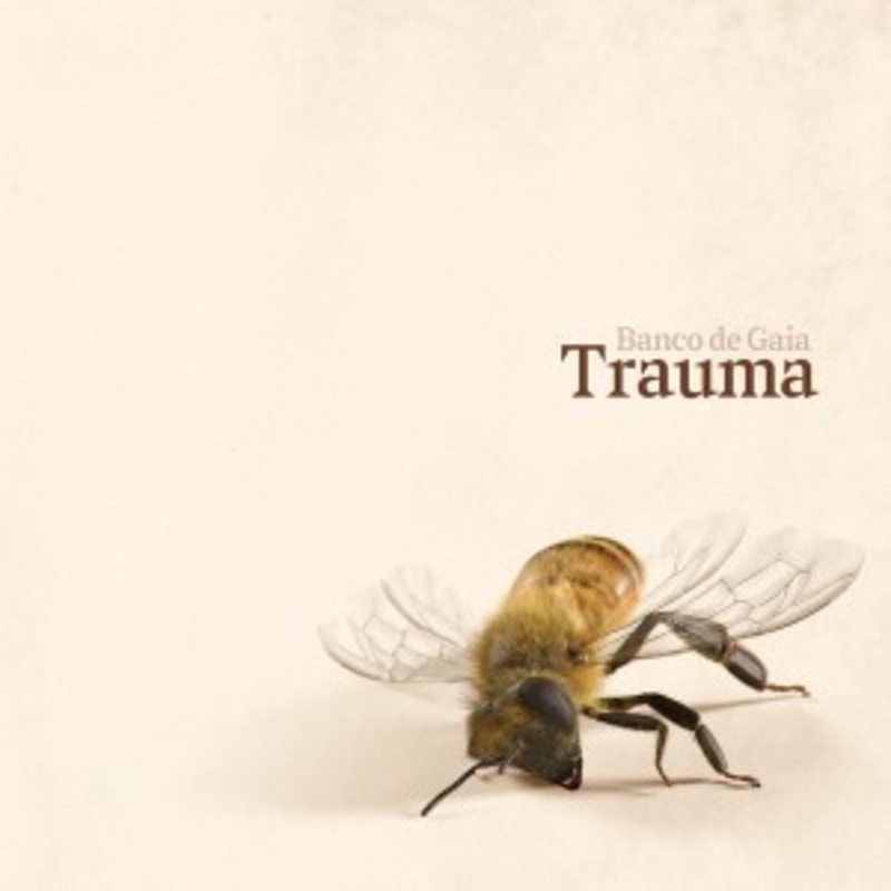 Banco de Gaia – Trauma
