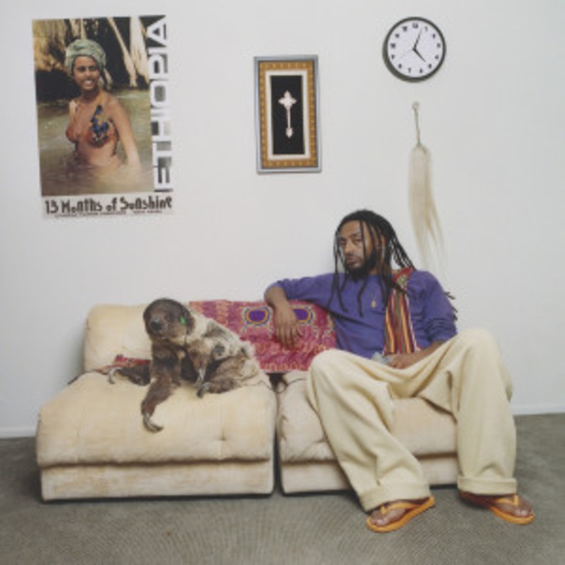 Amine – 13 Months Of Sunshine (Purple Vinyl)