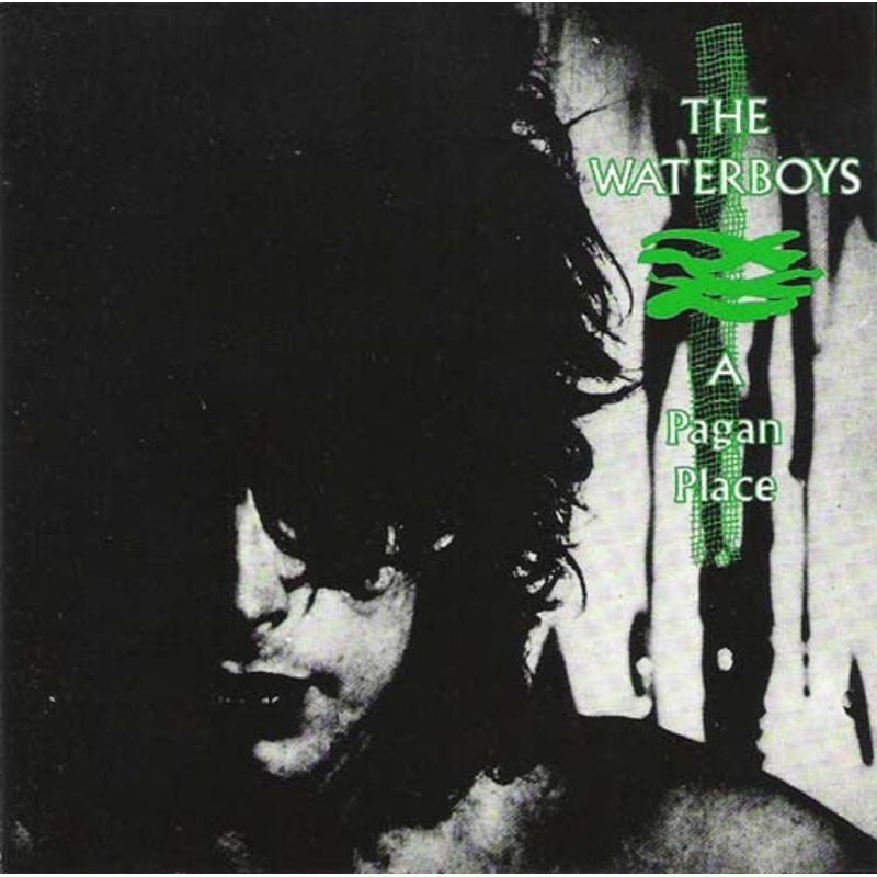 The Waterboys – A Pagan Place (CD, Album) (Very Good Plus (VG+))