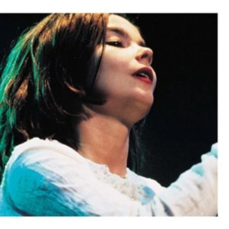 Bjork – Debut Live