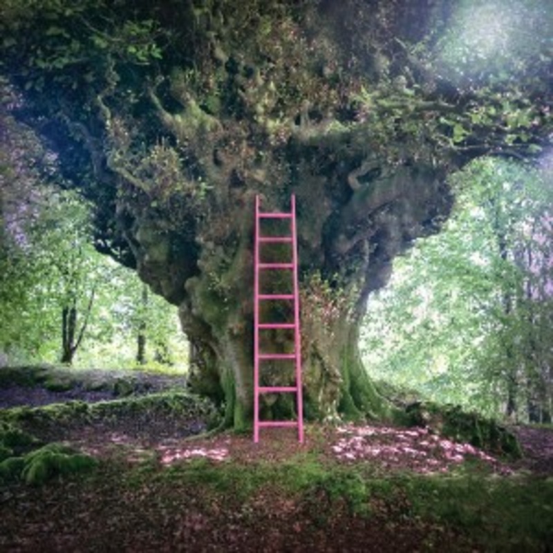 Simon Chesterfield – Simon Chesterfield