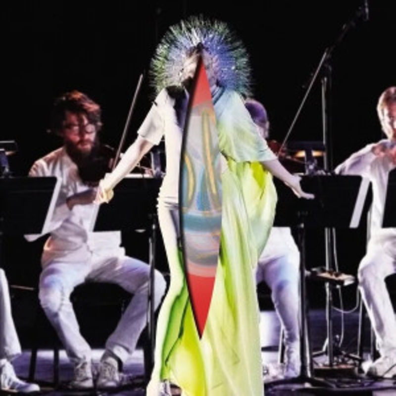 Bjork – Vulnicura Strings