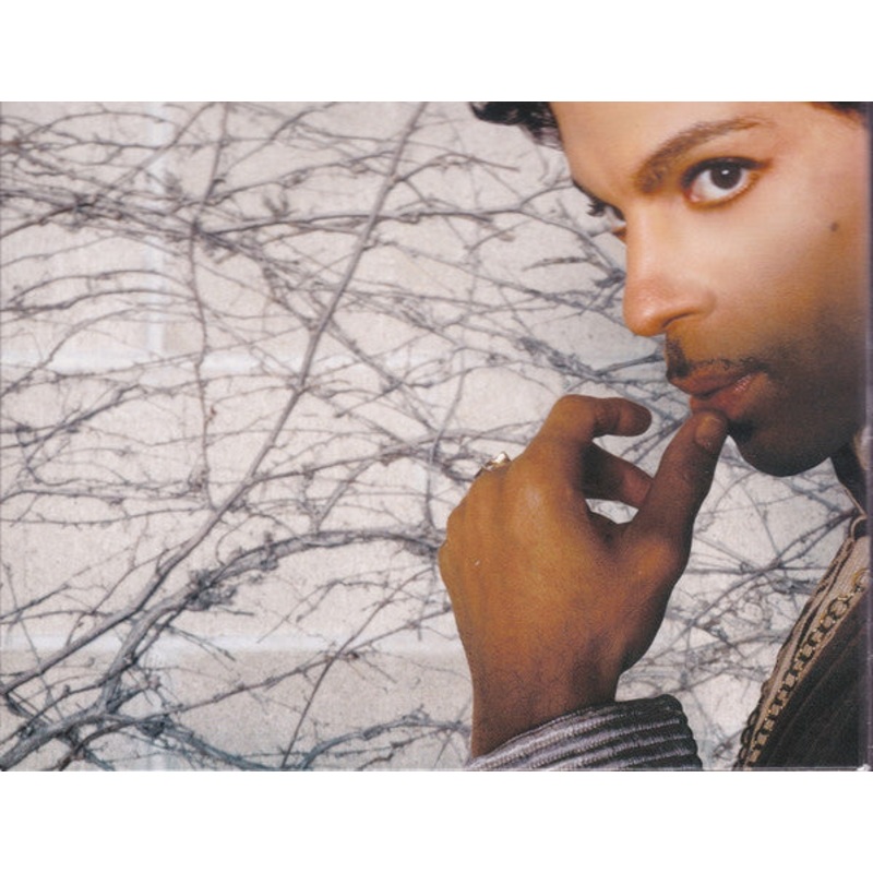 Prince – Musicology (CD, Album, Enh, Promo, Dig) (Very Good Plus (VG+))