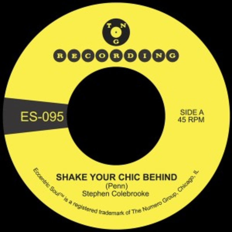 Stephen Colebrooke – Shake Your Chic Behind b/w Stay Away From Music (Green Vinyl)