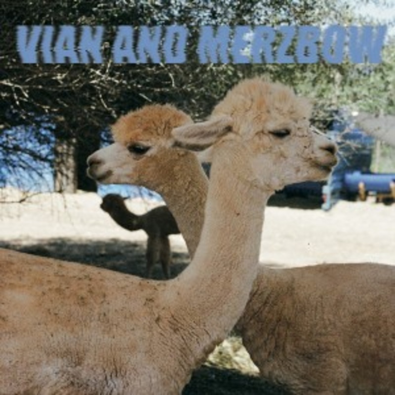 Vian and Merzbow – Inside Richard Serra Sculptures (Clear Vinyl)