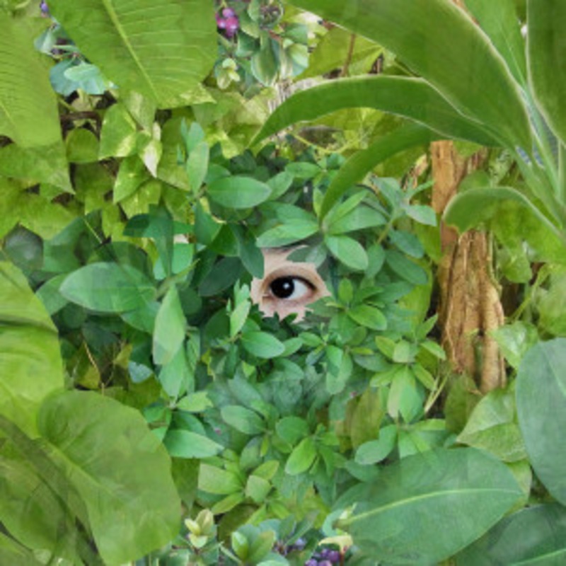 Mari Sekine – Beginning