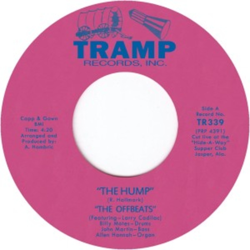 The Offbeats – The Hump