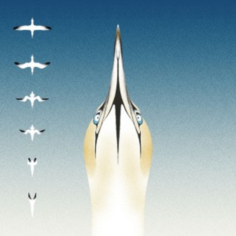 20Syl / Christophe Panzani – Sula Bassana