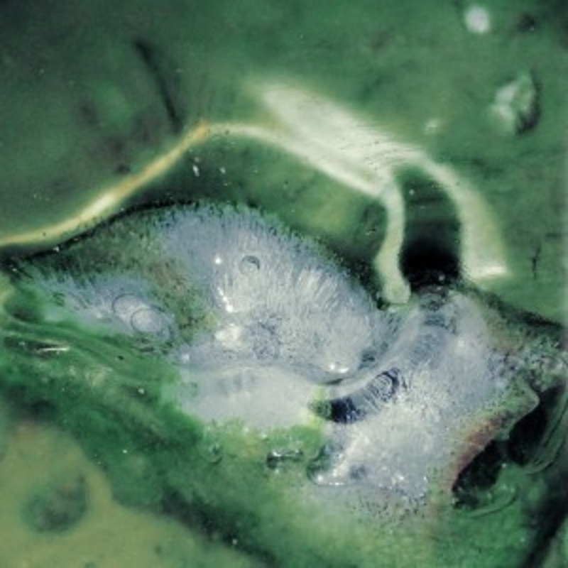 Tristan Arp – A Pool, A Portal