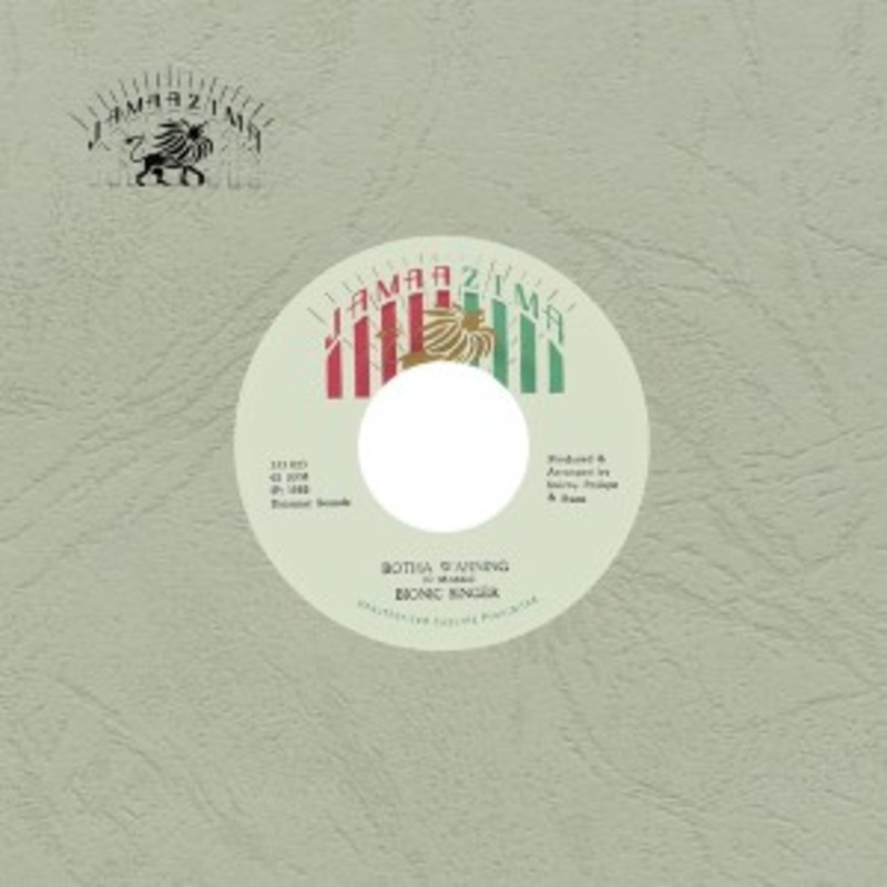 Bionic Singer – Botha Warning