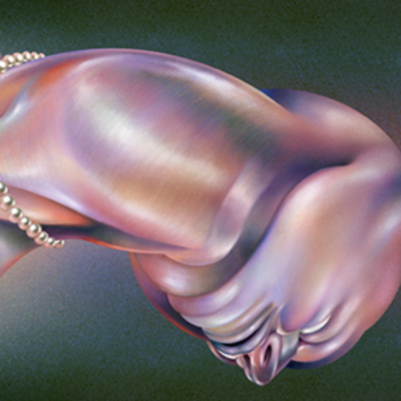 Walt Disco – The Warping (Pearl Vinyl)