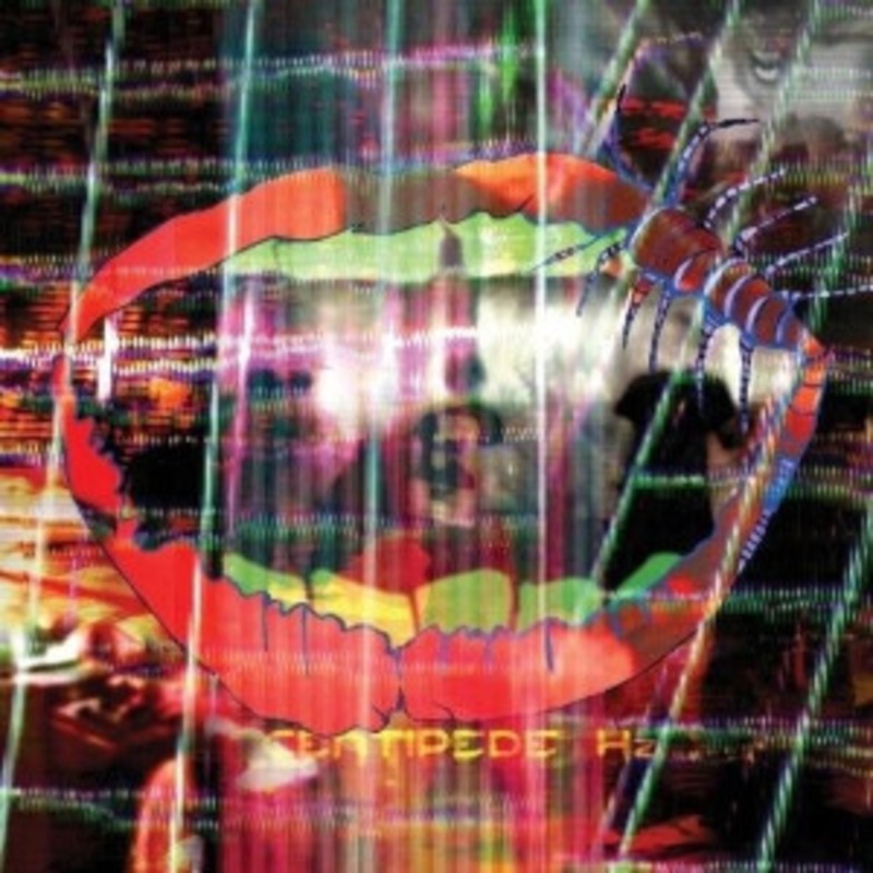 Animal Collective – Centipede Hz