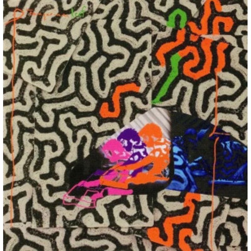 Animal Collective – Tangerine Reef