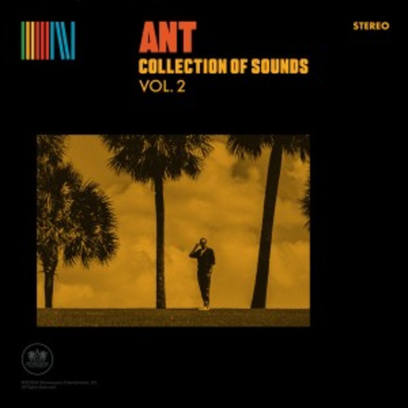 Ant – Collection Of Sounds Vol. 2 (Yellow Vinyl)