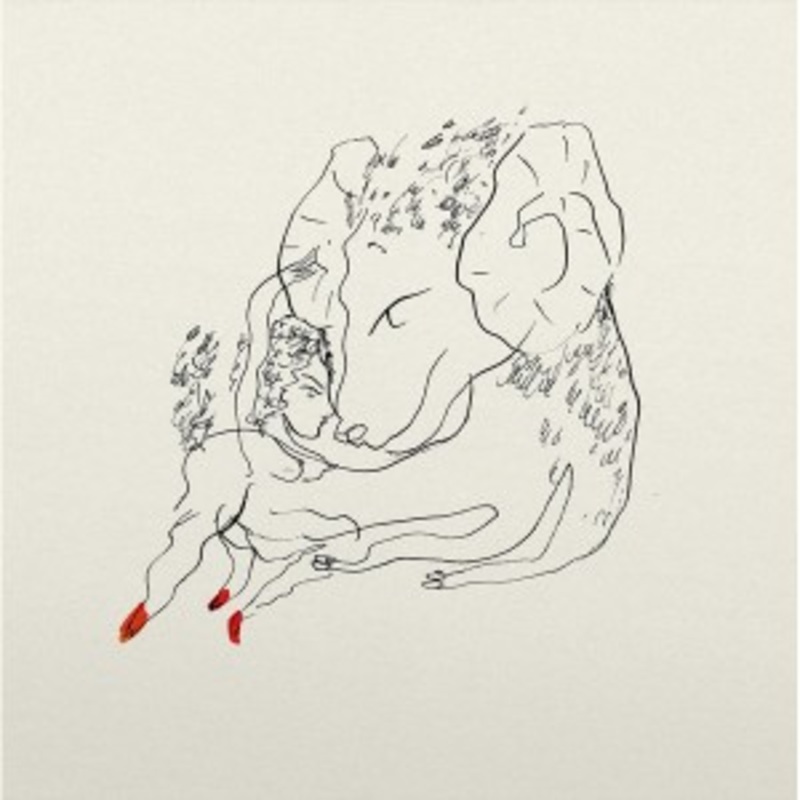 Adrian de Alfonso – Viator