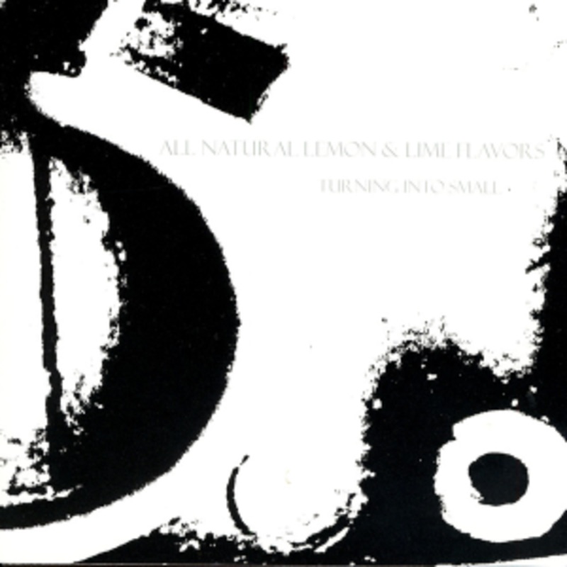 All Natural Lemon & Lime Flavors – Turning Into Small