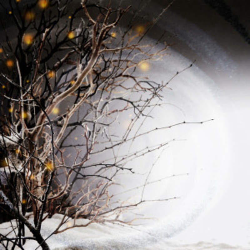 Winterlight – Winterlight