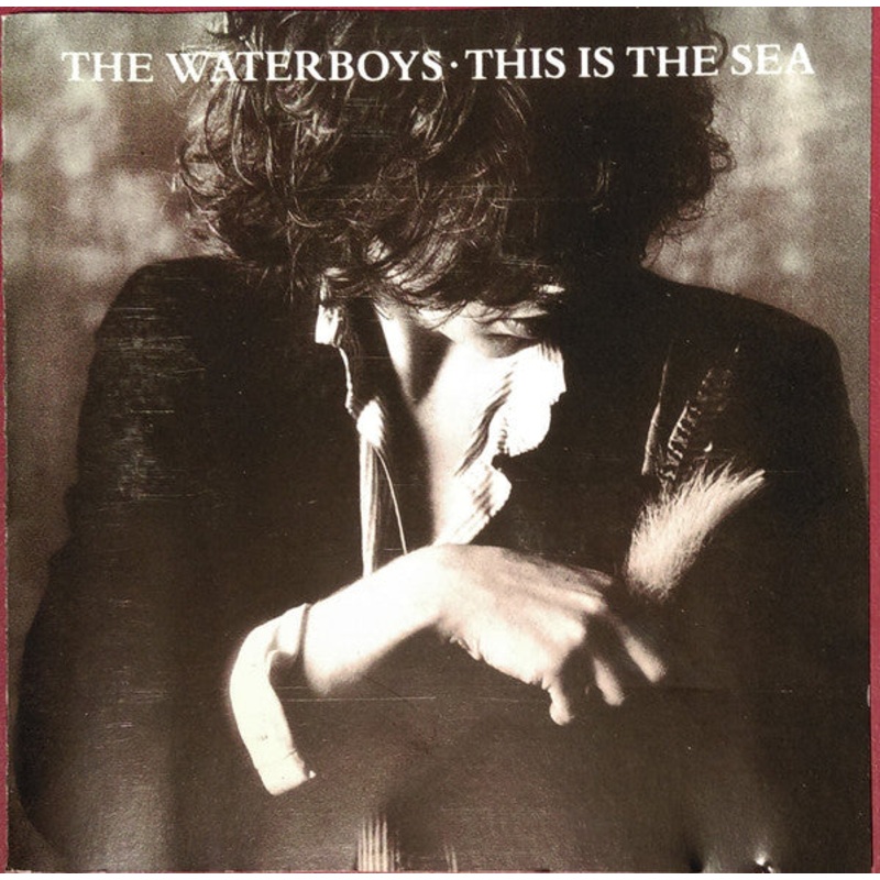 The Waterboys – This Is The Sea (CD, Album, RE, EMI) (Very Good Plus (VG+))