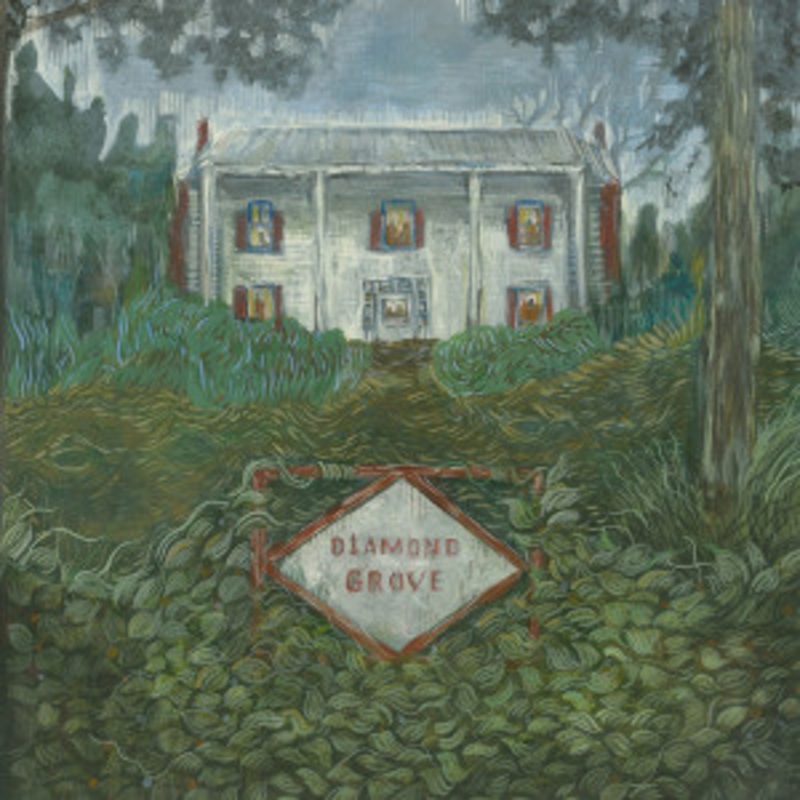 Weirs – Diamond Grove