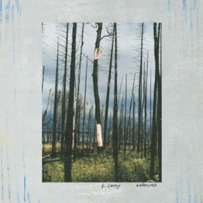 S. Carey – Watercress