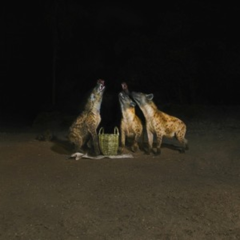 Years of Denial – Suicide Disco