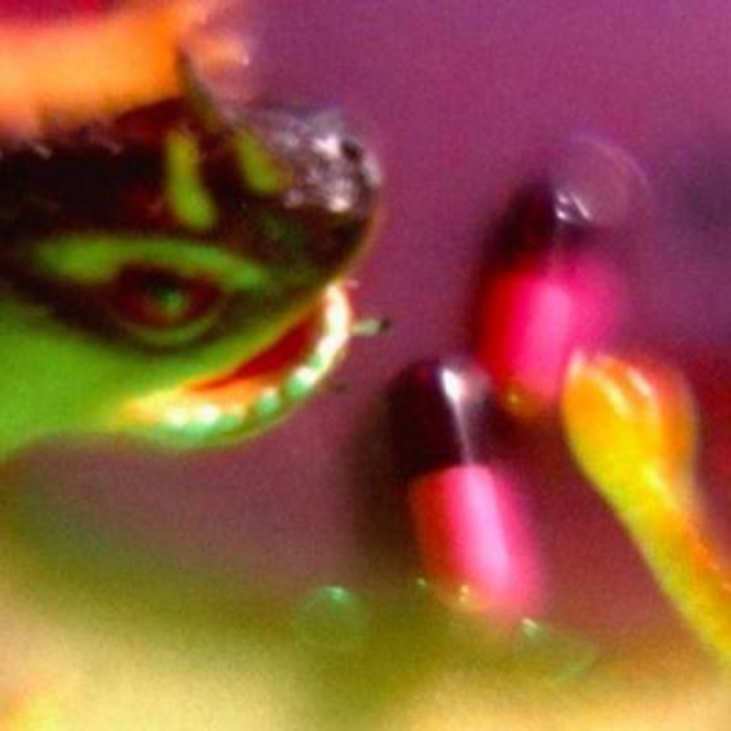 Bush Tetras – Take the Fall