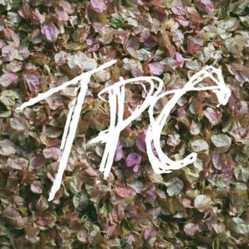 Tokyo Police Club – TPC