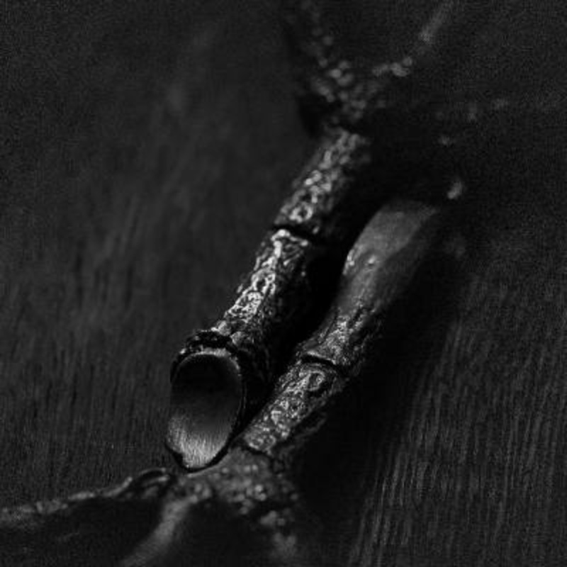 Trepaneringsritualen – Algir Eller Algir I Merkstave