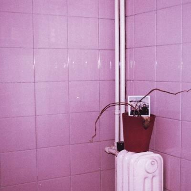 (Minerva) – Konserva