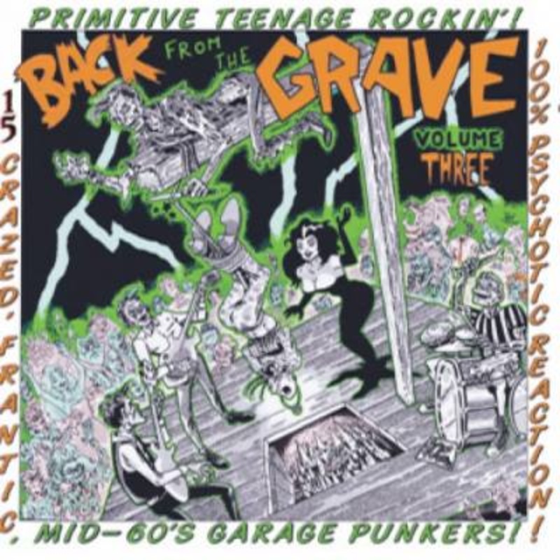 Various – Back From The Grave Volume Three