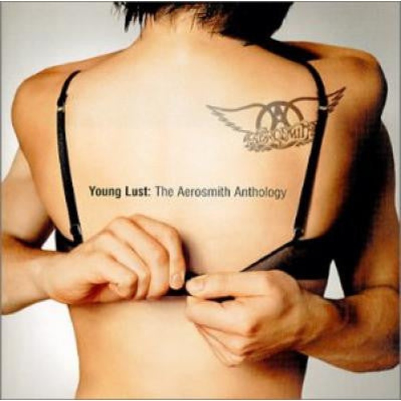 Aerosmith – Young Lust: The Aerosmith Anthology (2xCD, Comp) (Very Good (VG))
