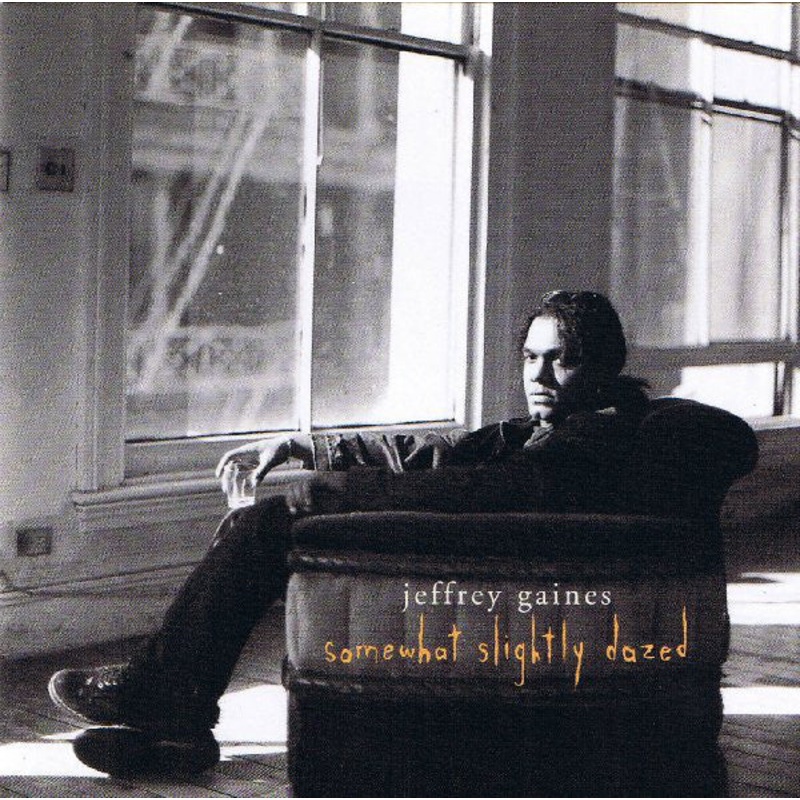 Jeffrey Gaines – Somewhat Slightly Dazed (CD, Album) (Very Good (VG))