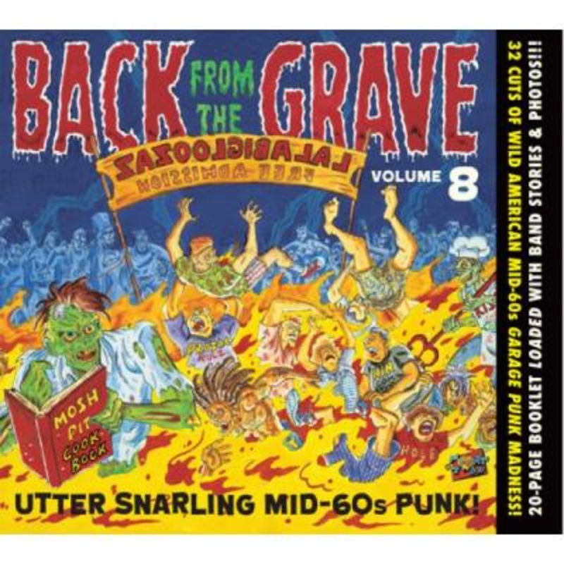Various – Back From The Grave Volume 8