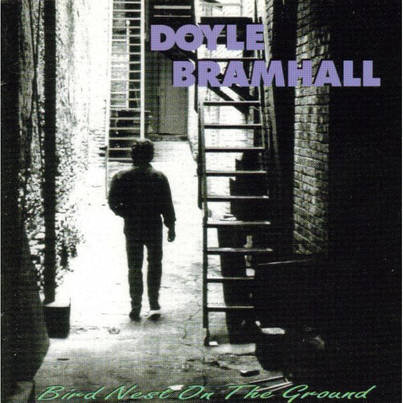 Doyle Bramhall – Bird Nest On The Ground (CD, Album) (Very Good Plus (VG+))