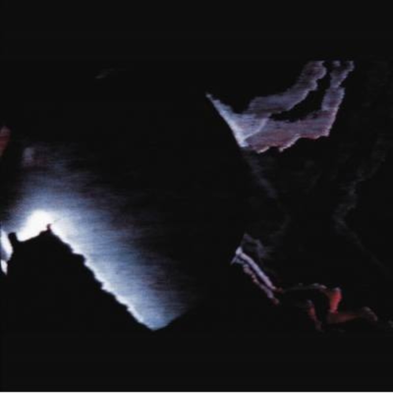 Zoviet France – Vienna 1990