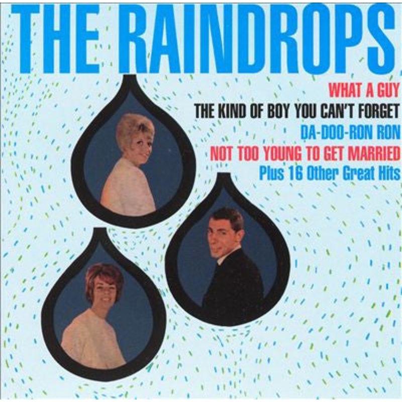 The Raindrops – The Raindrops (CD, Album, RE) (Near Mint (NM or M-))