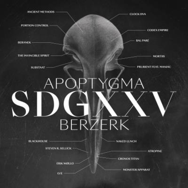 Apoptygma Berzerk – SDGXXV (Clear Vinyl)