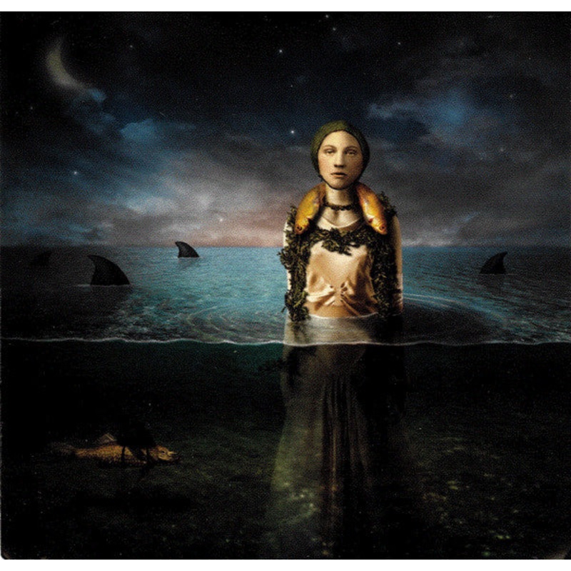 The Bled – Found In The Flood (CD, Album) (Very Good Plus (VG+))